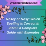 Nosey or Nosy