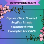 Flys or Flies
