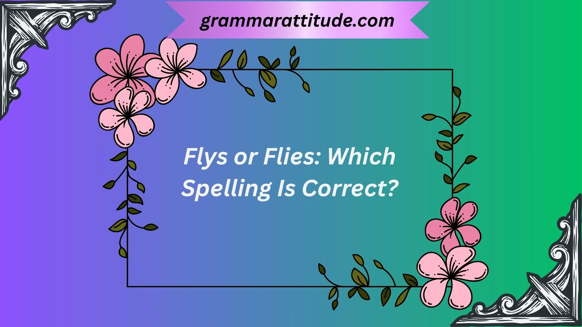 Flys or Flies